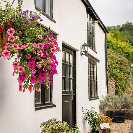 Woodview - Cosy 1840S Cottage In Chew Valley And Mendip Aonb Compton Martin Buitenkant foto