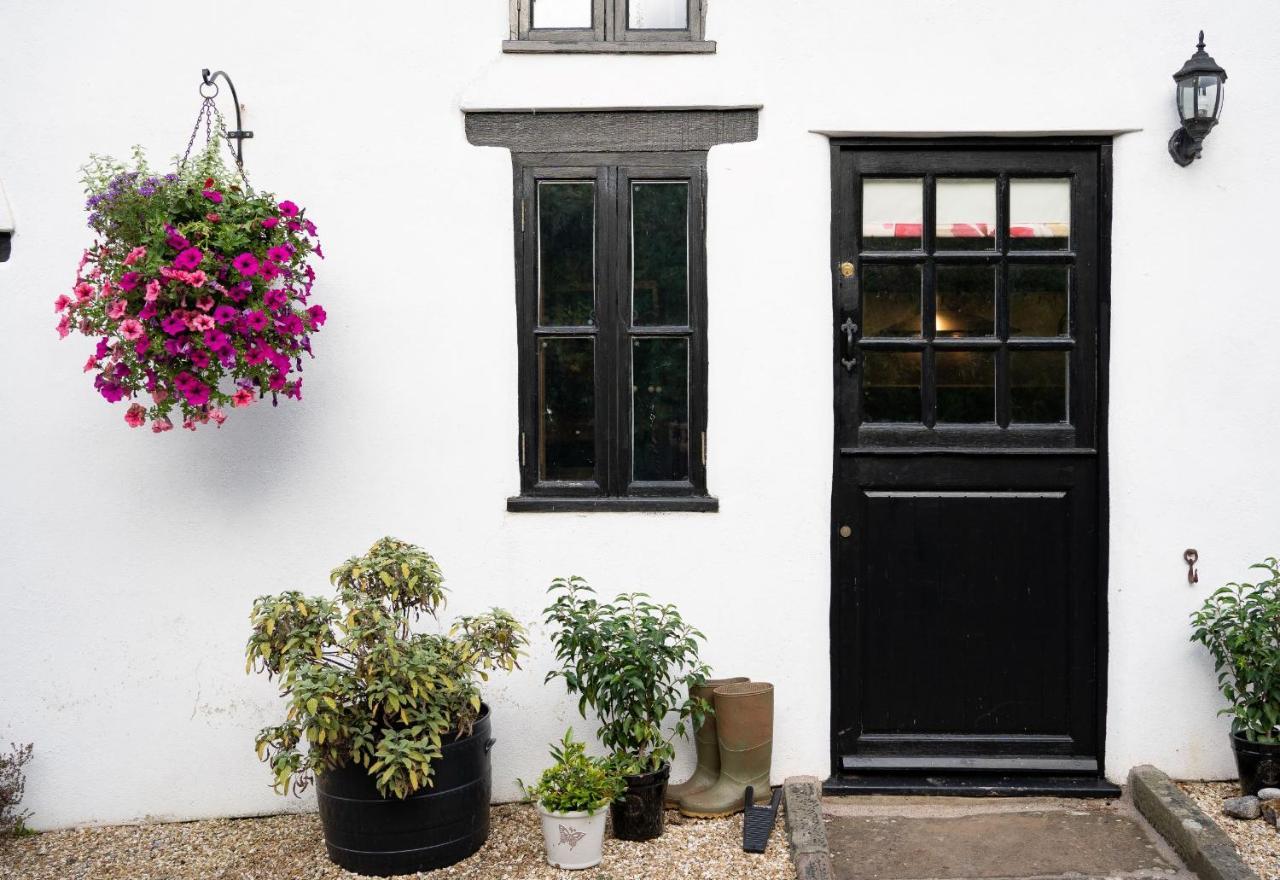 Woodview - Cosy 1840S Cottage In Chew Valley And Mendip Aonb Compton Martin Buitenkant foto