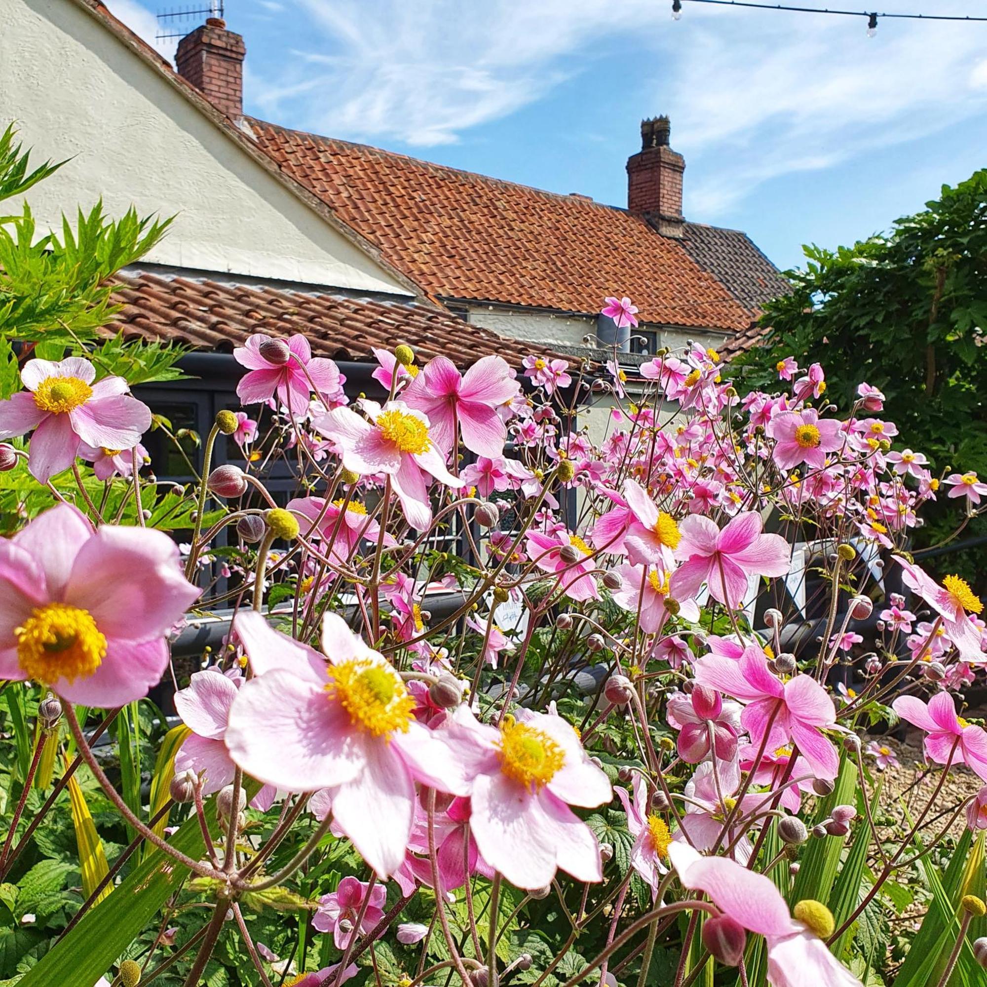 Woodview - Cosy 1840S Cottage In Chew Valley And Mendip Aonb Compton Martin Buitenkant foto